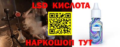 spice Кимры