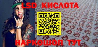 молекула духа Кингисепп