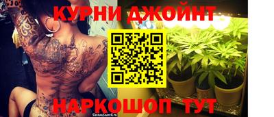 молекула духа Кингисепп