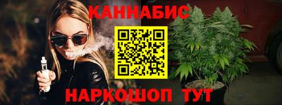 молекула духа Кингисепп