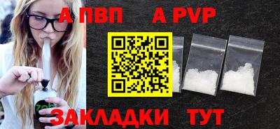 молекула духа Кингисепп
