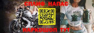 молекула духа Кингисепп