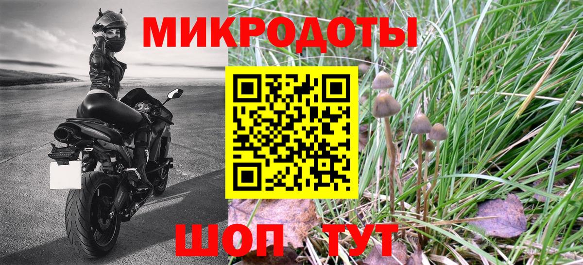 Псилоцибиновые грибы мухоморы  Псилоцибиновые грибы MAGIC MUSHROOMS  Каспийск  Вход с VPN 