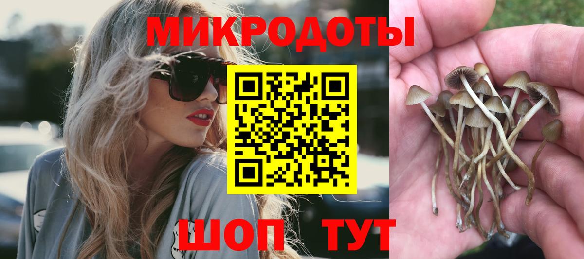 Галлюциногенные грибы ЛСД Каспийск